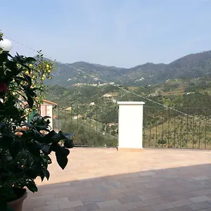 Apartment Levantotwo Bedrooms Flat With Terrace